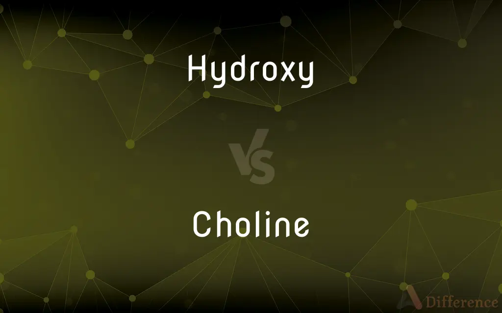 Hydroxy vs. Choline — What's the Difference?