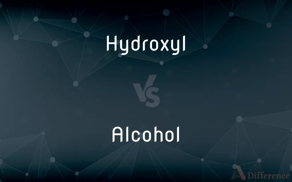 Hydroxyl vs. Alcohol — What's the Difference?