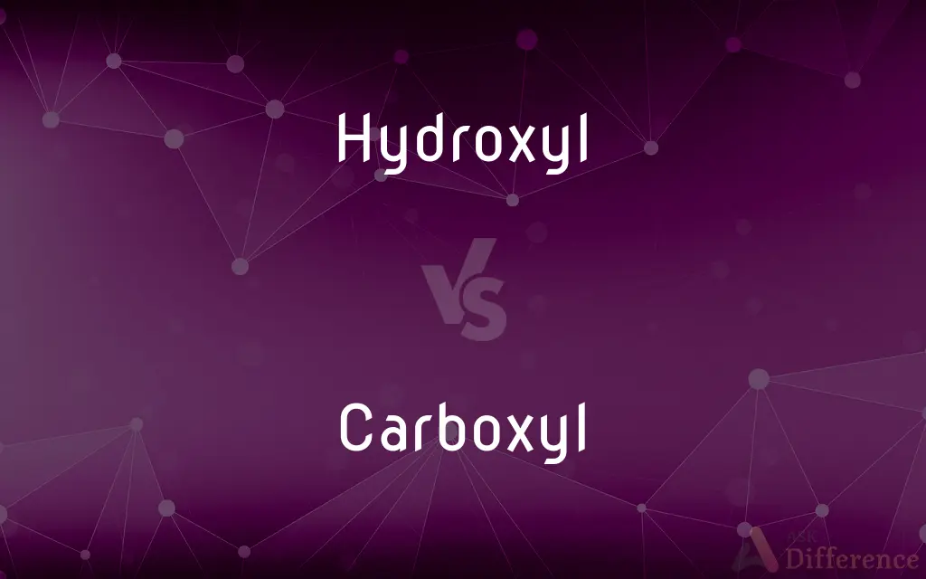 Hydroxyl vs. Carboxyl — What's the Difference?
