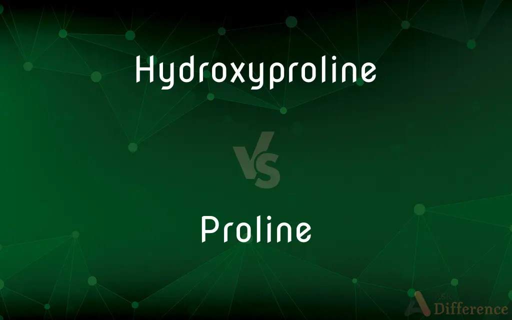 Hydroxyproline vs. Proline — What's the Difference?