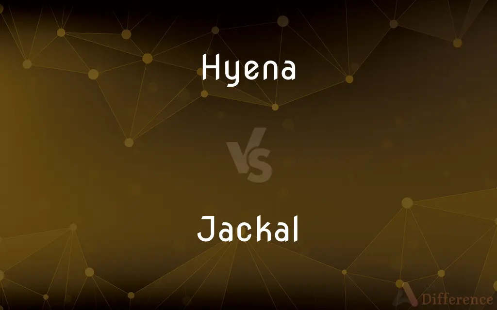 Hyena vs. Jackal — What's the Difference?