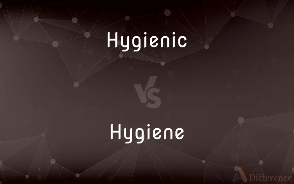 Hygienic vs. Hygiene — What's the Difference?