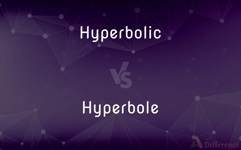 Hyperbolic vs. Hyperbole — What's the Difference?