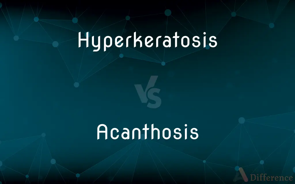 Hyperkeratosis vs. Acanthosis — What's the Difference?