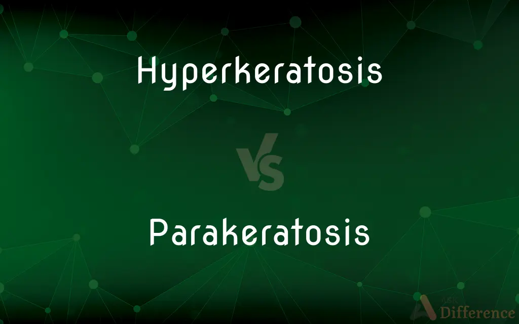 Hyperkeratosis vs. Parakeratosis — What's the Difference?
