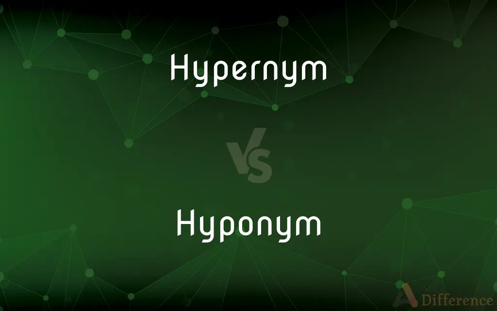 Hypernym vs. Hyponym — What's the Difference?