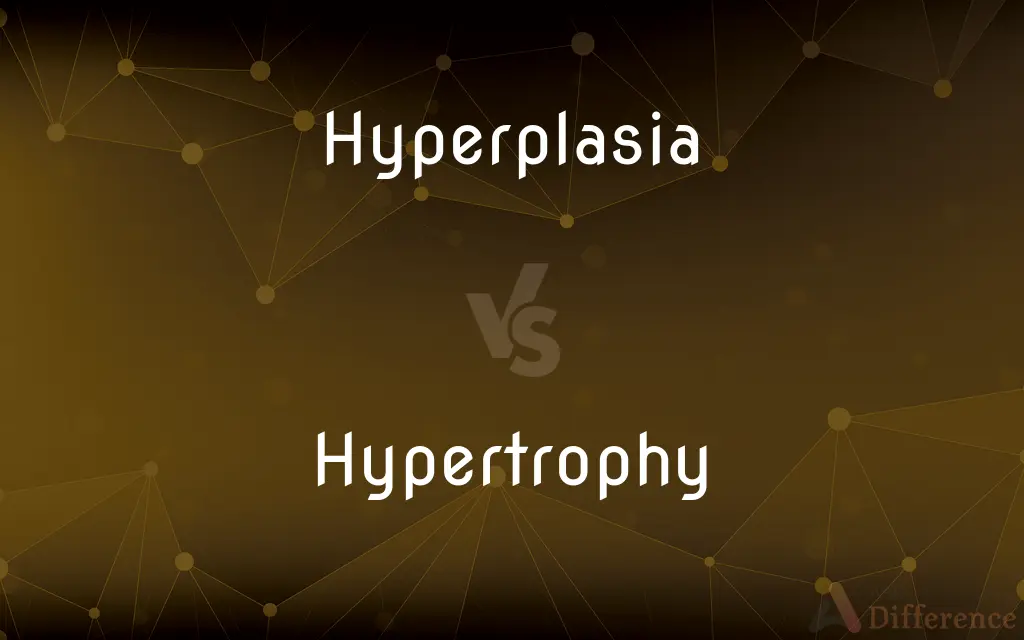 Hyperplasia vs. Hypertrophy — What's the Difference?
