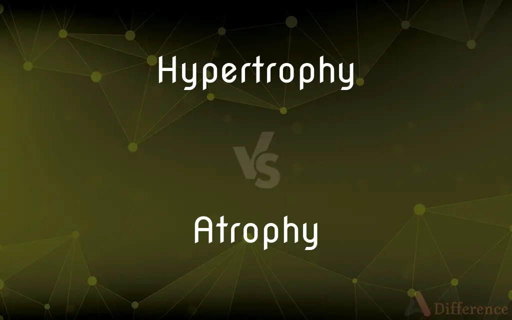 Hypertrophy vs. Atrophy — What's the Difference?