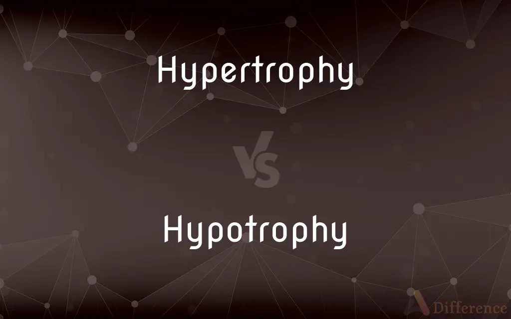 Hypertrophy vs. Hypotrophy — What's the Difference?