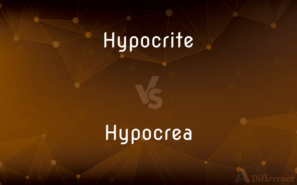 Hypocrite vs. Hypocrea — What's the Difference?