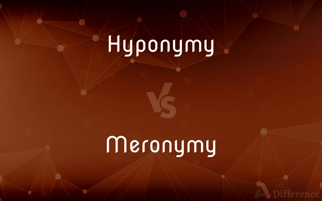 Hyponymy vs. Meronymy — What's the Difference?
