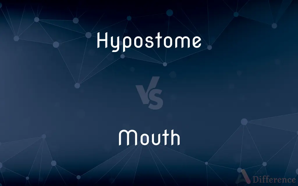 Hypostome vs. Mouth — What's the Difference?