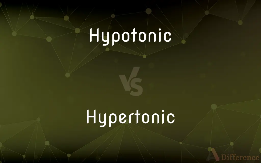 Hypotonic vs. Hypertonic — What's the Difference?