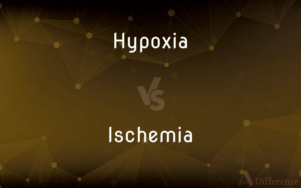 Hypoxia vs. Ischemia — What's the Difference?