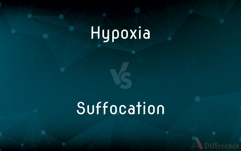 Hypoxia vs. Suffocation — What's the Difference?