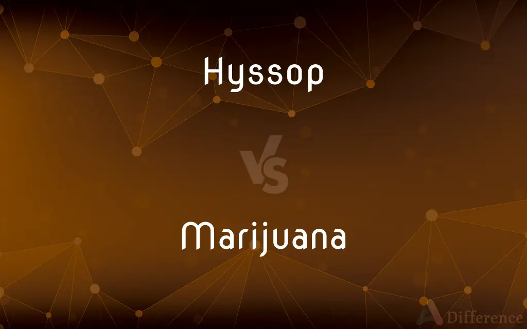 Hyssop vs. Marijuana — What's the Difference?