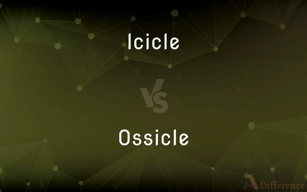 Icicle vs. Ossicle — What's the Difference?