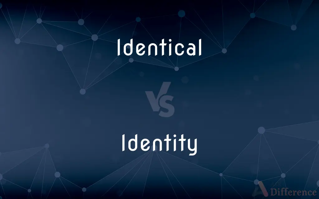 Identical vs. Identity — What's the Difference?