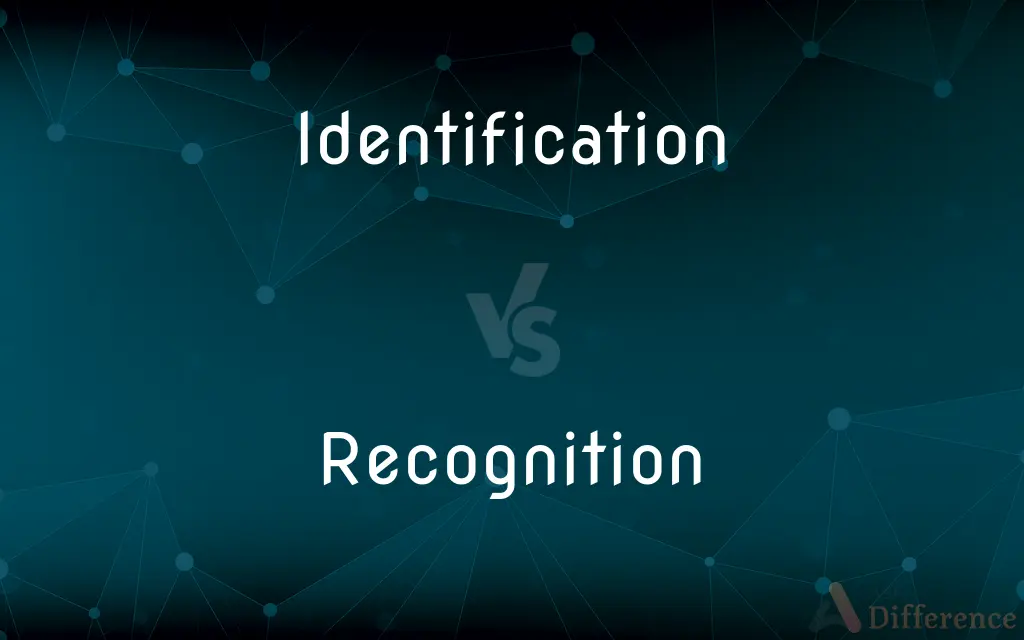 Identification vs. Recognition — What's the Difference?