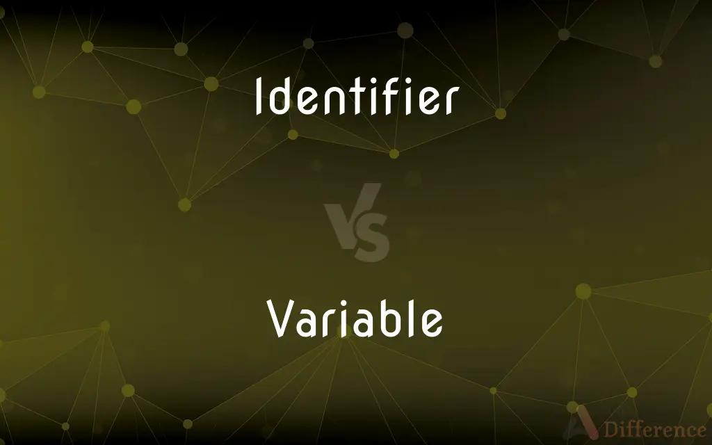 Identifier vs. Variable — What's the Difference?