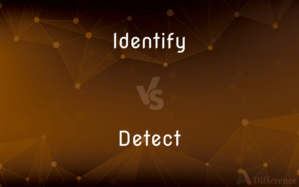 Identify vs. Detect — What's the Difference?