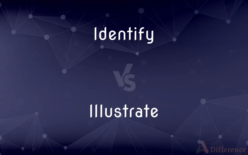 Identify vs. Illustrate — What's the Difference?