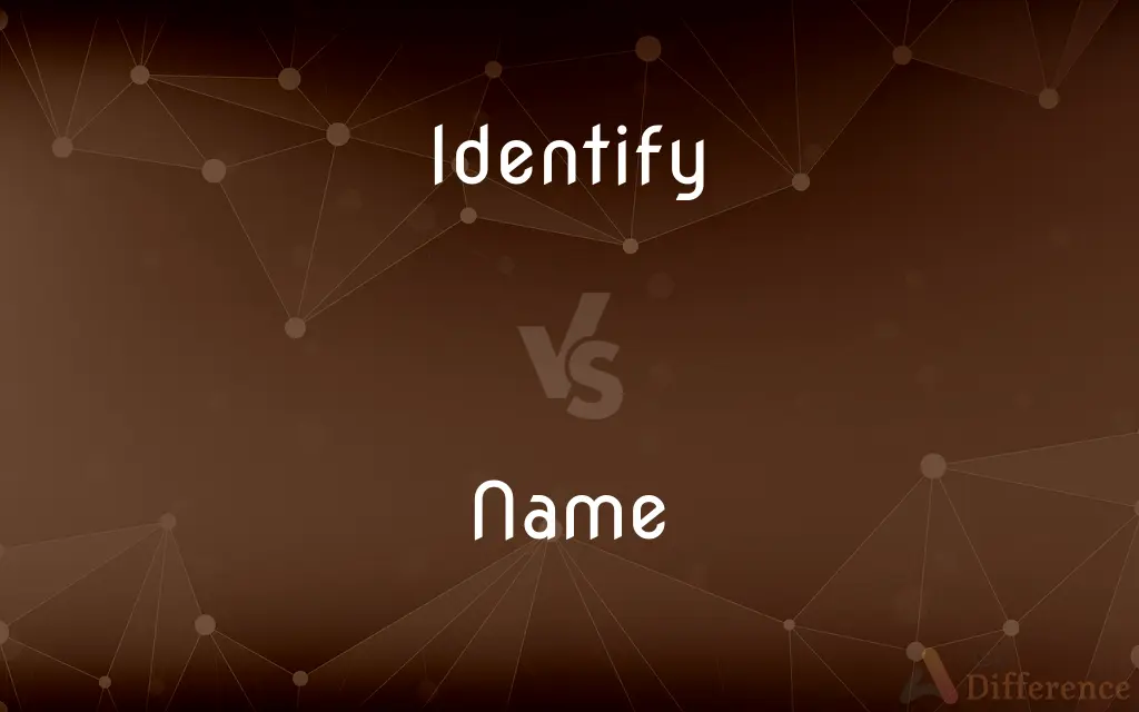 Identify vs. Name — What's the Difference?