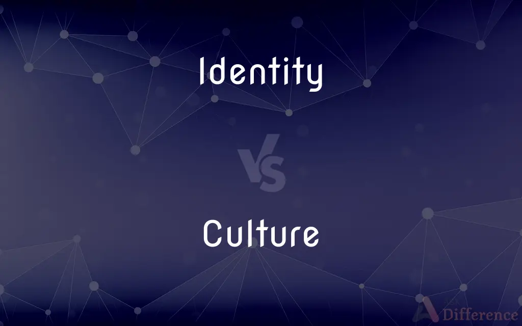 Identity vs. Culture — What's the Difference?