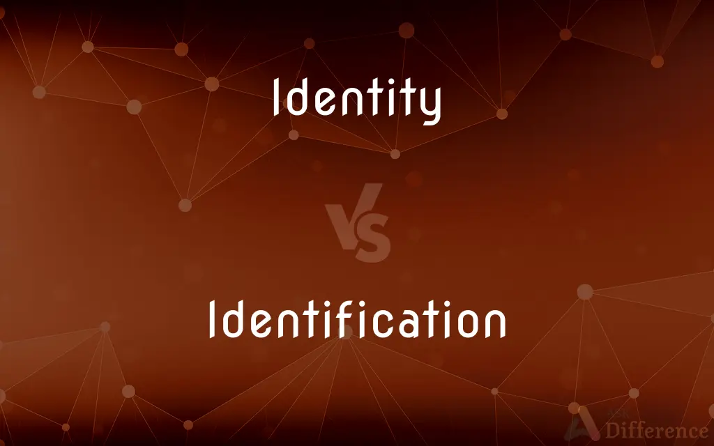 Identity vs. Identification — What's the Difference?