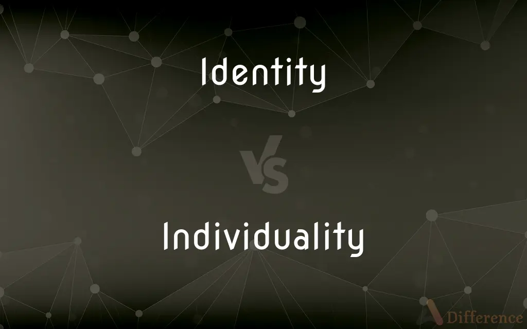 Identity vs. Individuality — What's the Difference?