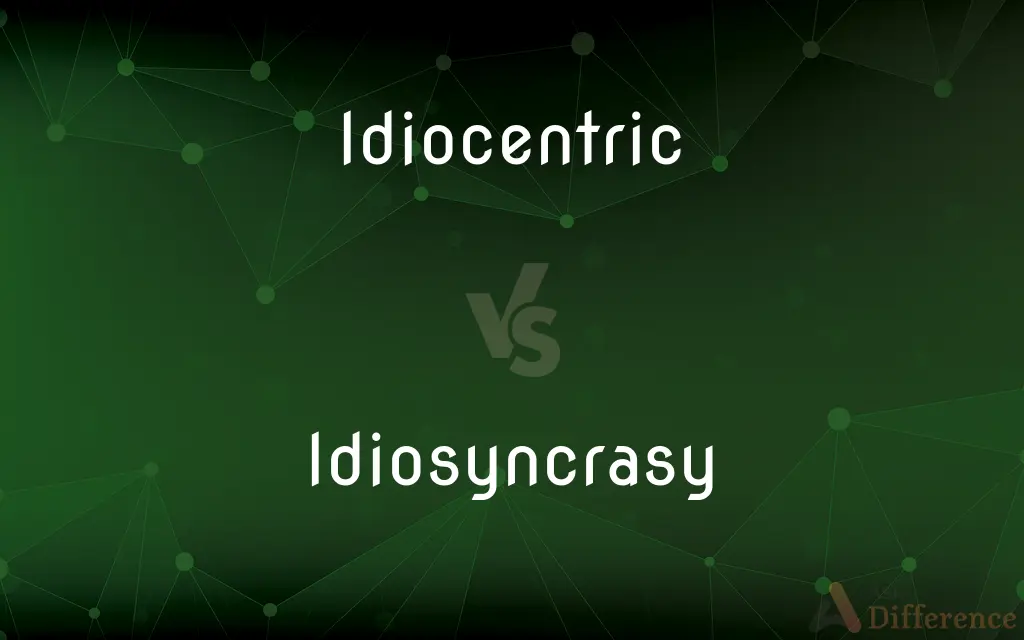 Idiocentric vs. Idiosyncrasy — Which is Correct Spelling?