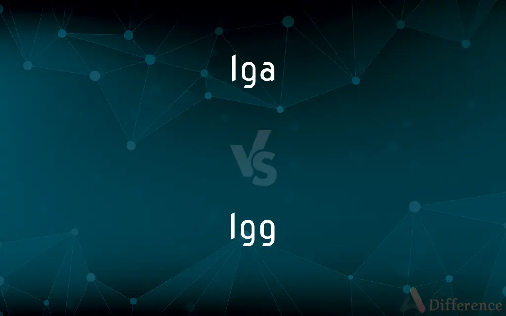 Iga vs. Igg — What's the Difference?