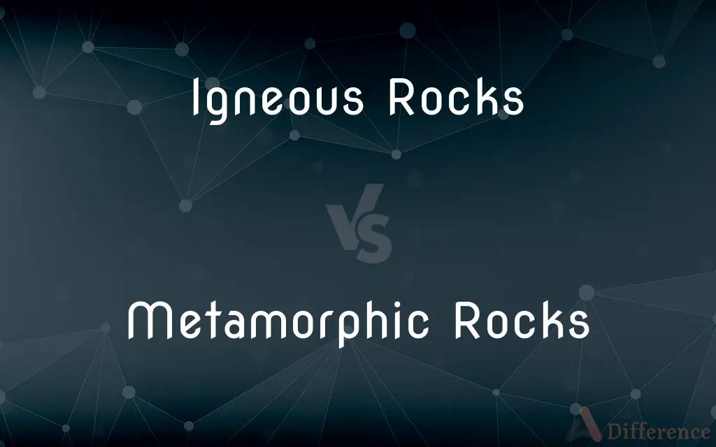 Igneous Rocks vs. Metamorphic Rocks — What's the Difference?