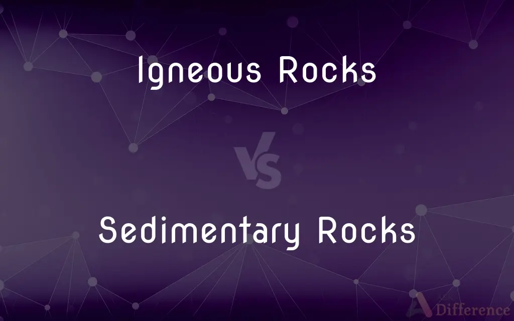 Igneous Rocks vs. Sedimentary Rocks — What's the Difference?