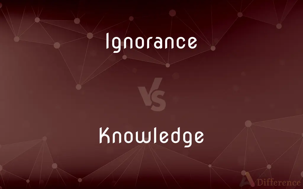 Ignorance vs. Knowledge — What's the Difference?
