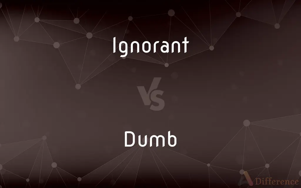 Ignorant vs. Dumb — What's the Difference?
