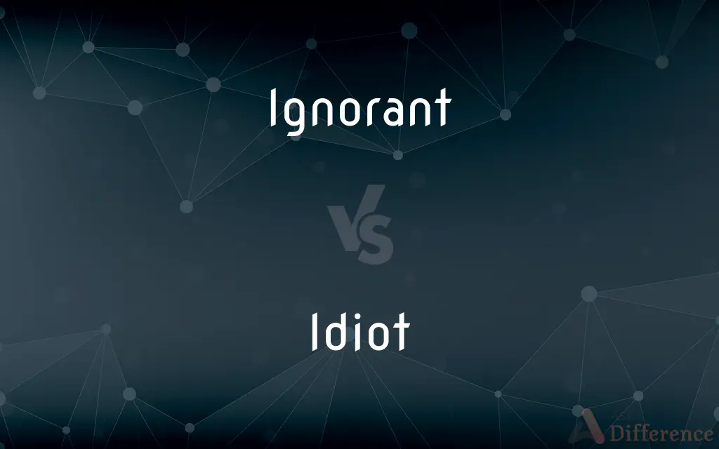 Ignorant vs. Idiot — What's the Difference?