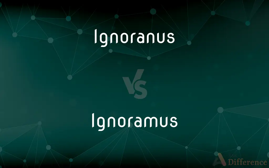 Ignoranus vs. Ignoramus — Which is Correct Spelling?