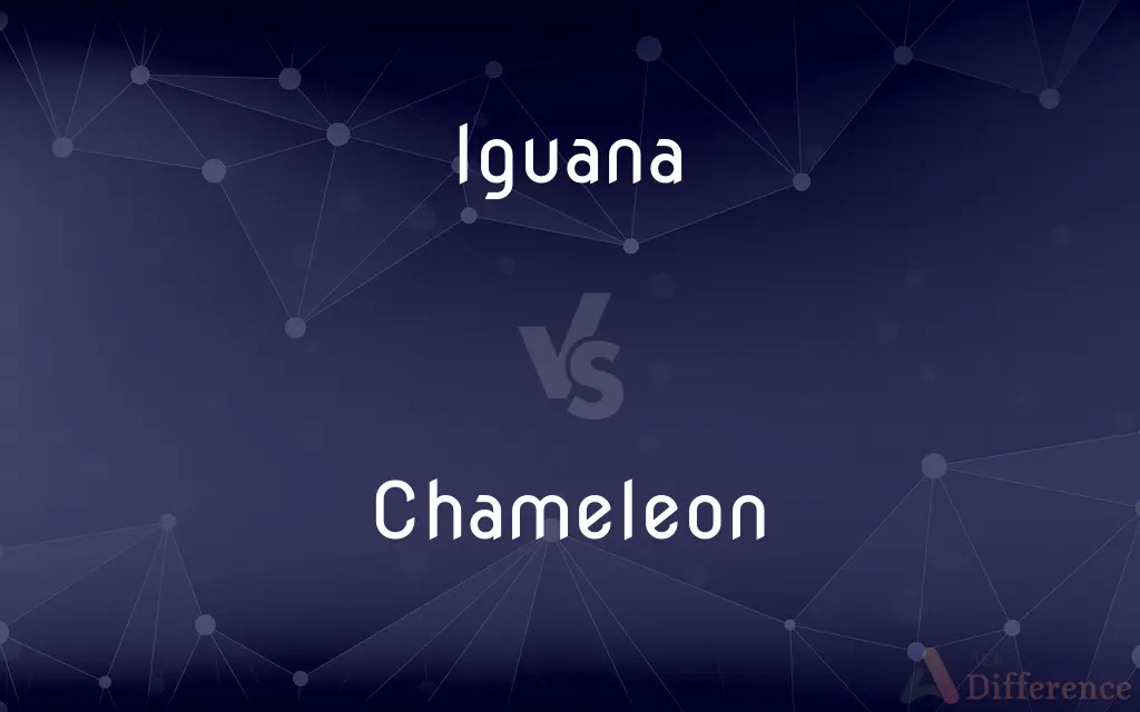 Iguana vs. Chameleon — What's the Difference?