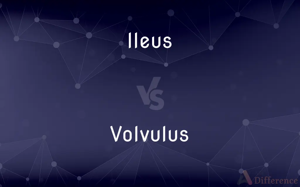 Ileus vs. Volvulus — What's the Difference?