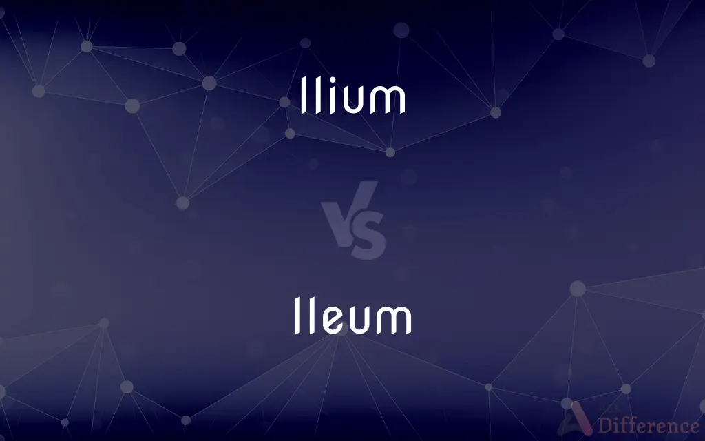 Ilium vs. Ileum — What's the Difference?