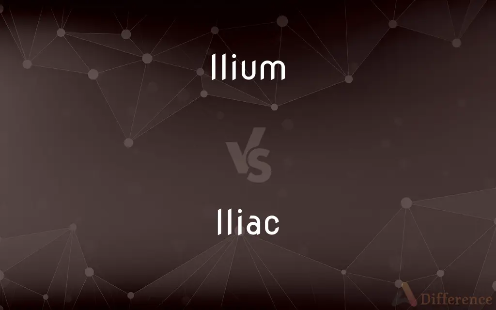 Ilium vs. Iliac — What's the Difference?