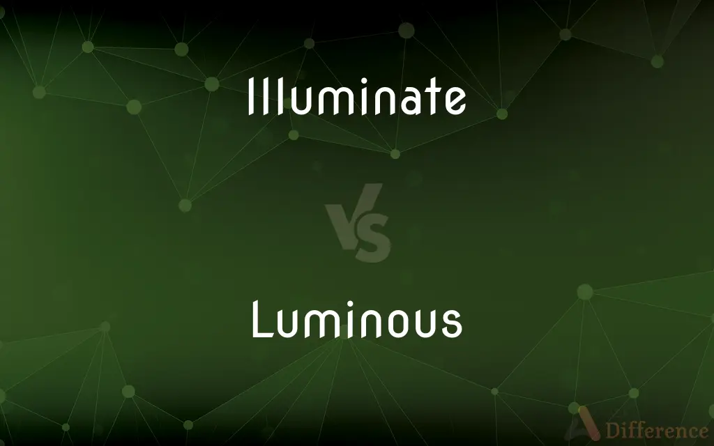 Illuminate vs. Luminous — What's the Difference?