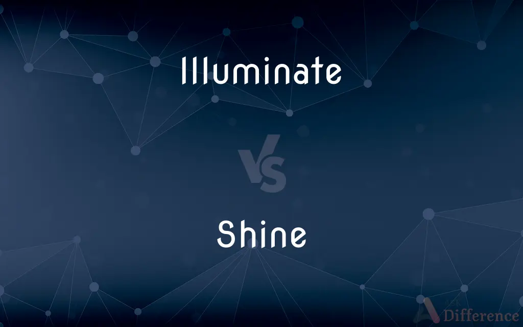 Illuminate vs. Shine — What's the Difference?