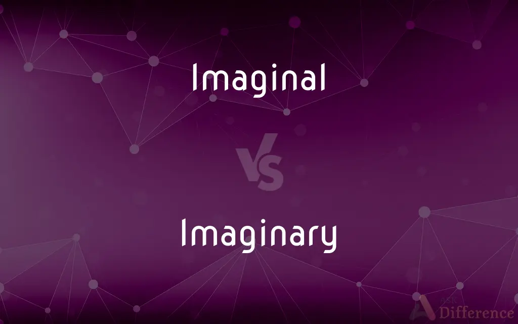 Imaginal vs. Imaginary — What's the Difference?