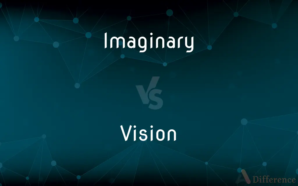 Imaginary vs. Vision — What's the Difference?