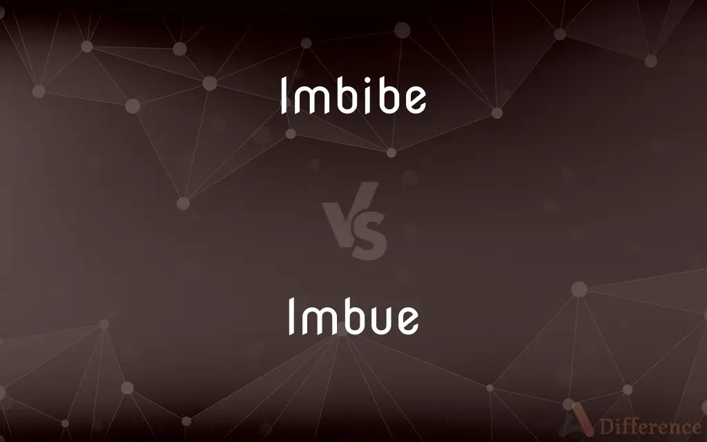 Imbibe vs. Imbue — What's the Difference?