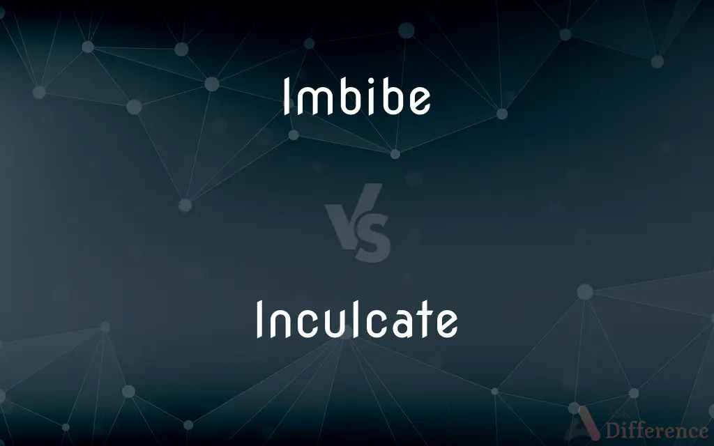 Imbibe vs. Inculcate — What's the Difference?