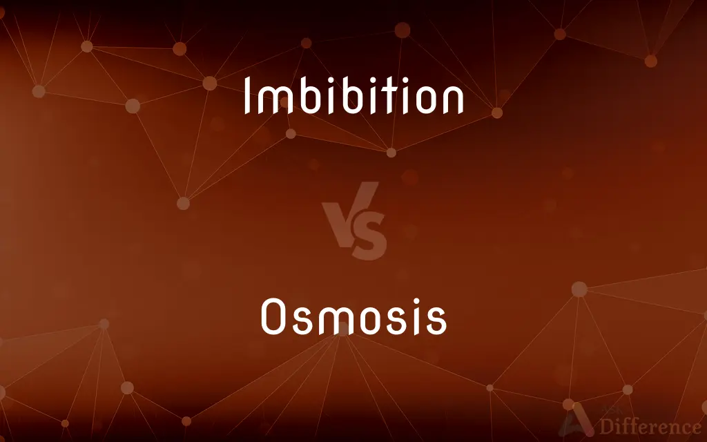Imbibition vs. Osmosis — What's the Difference?