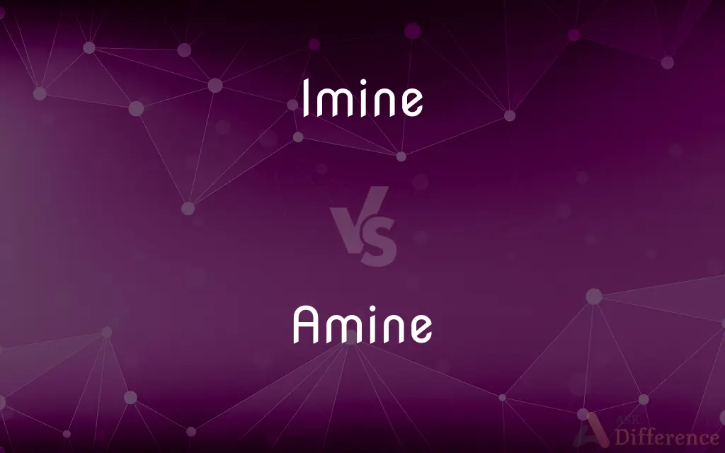 Imine vs. Amine — What's the Difference?